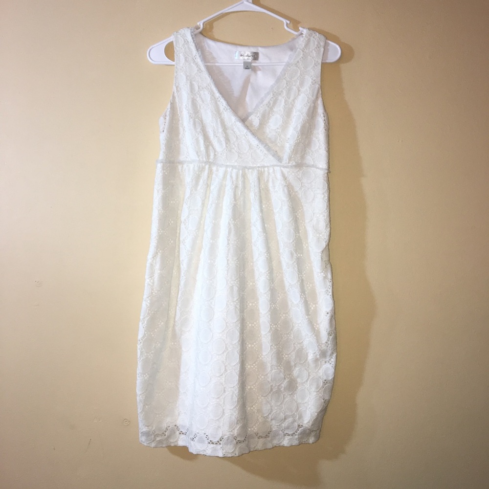 Dress Barn Eyelet Lace Dress